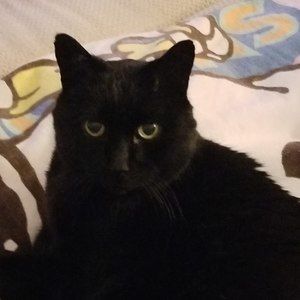 Meet your Posher, Jeanne